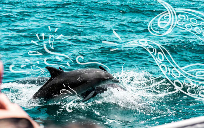 Fire and Sunset best shore things